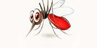 Mosquito advice 